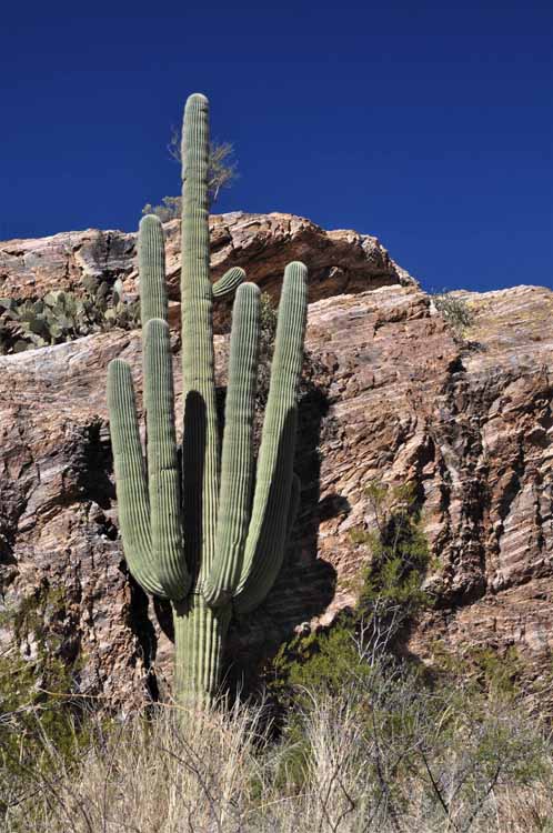 rock formations
